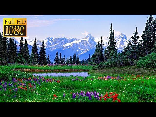 PAISAJES hermosos de la naturaleza reales con música relajante | Calidad Full HD 1080p.