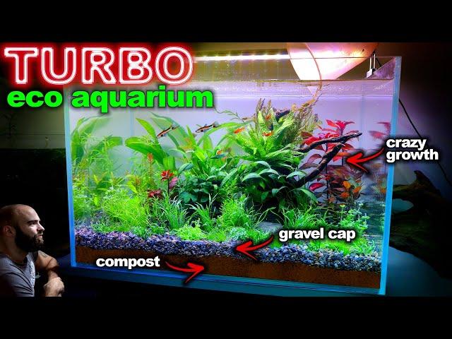 TURBO ECO AQUARIUM: Low Tech, Walstad Method Aquascape Tutorial