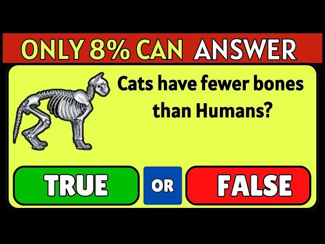 True Or False Quiz || Test Your Knowledge With These Interesting Facts || Challenge#19