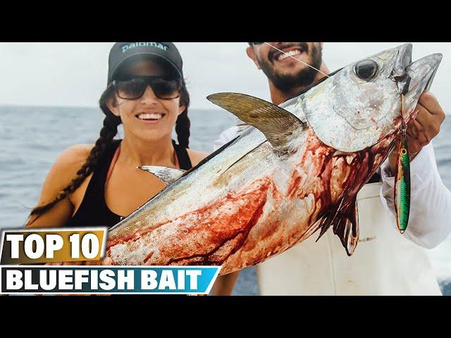 Best Bait For Bluefishes In 2024 - Top 10 Bait For Bluefish Review