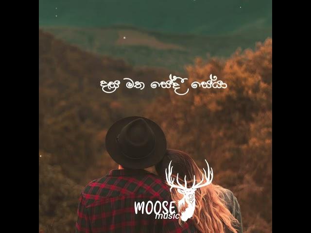 Therunado visal adare status | Moose music # Sinhala status