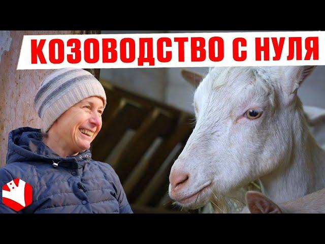 Козоводство как бизнес | Путь от 2 до 200 коз | КУЛЬТИВАТОР