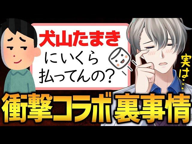 【コラボの料金】かなえ先生が犬山たまきとコラボできる衝撃の理由【かなえ先生切り抜き】Vtuber