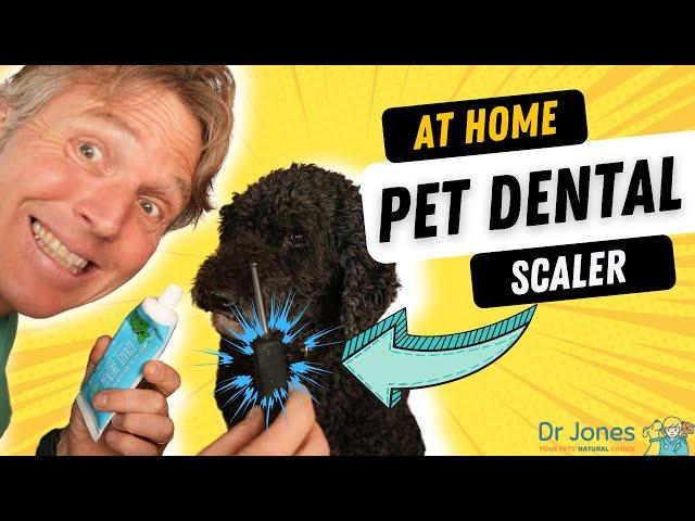 Home Dental Scaler