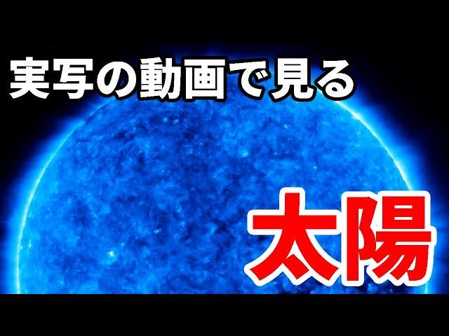 太陽に生える草むら？実写動画で見る太陽の不思議【JST 午後正午】