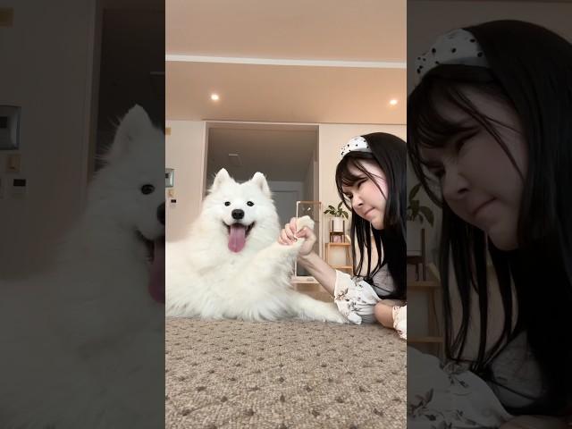 I'm Less Than A Dog