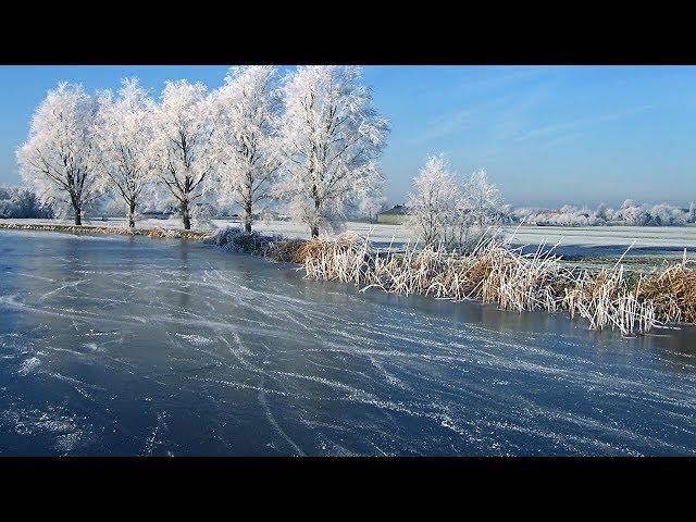 Рыбалка в январе. Зимняя рыбалка. Кого и где ловить?