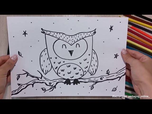 Как нарисовать сову. Лёгкий рисунок для срисовки. How to draw an Owl