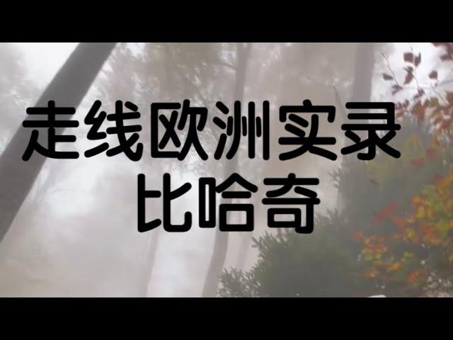 欧洲走线教学1 比哈奇润德国