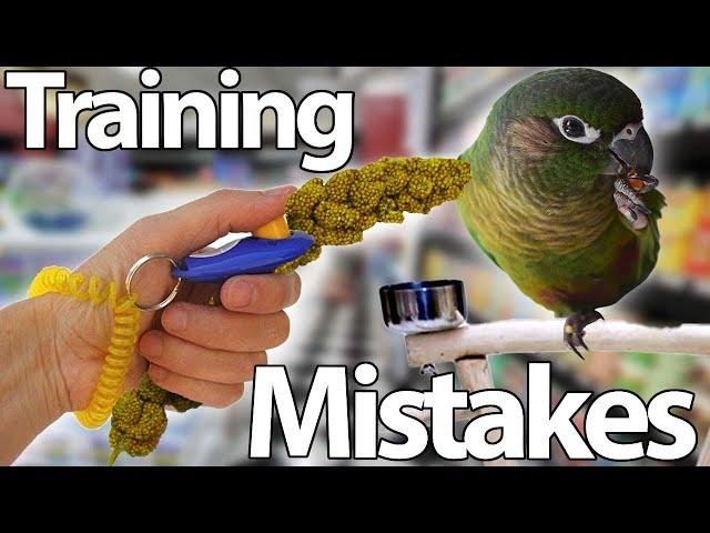 Common Training Mistakes | Topics