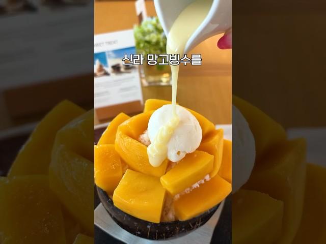 신라호텔 망고빙수 설빙보다 싸게 먹는방법