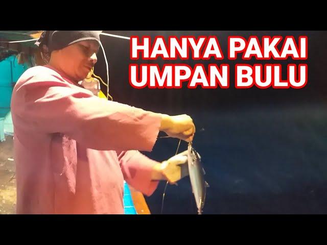 Begini caranya mancing ikan layang dimalam hari || menggunakan bulu-bulu