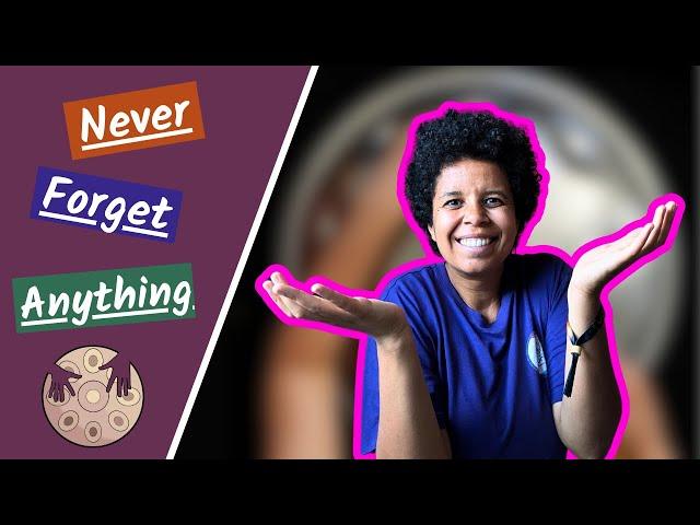 Read PanScript - Supercharge Your Handpan