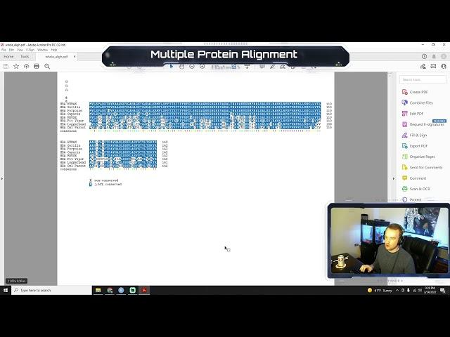 Intro Bioinformatics - Multiple Protein Alignment - VDB Computational Biology