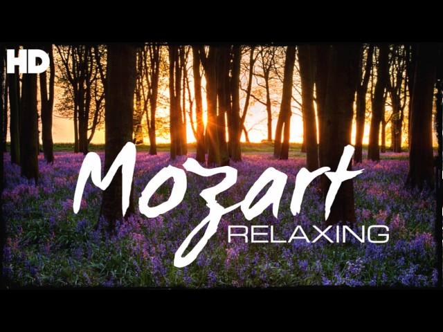 The Best Relaxing Classical Music Ever By Mozart - Relaxation Meditation Reading Focus