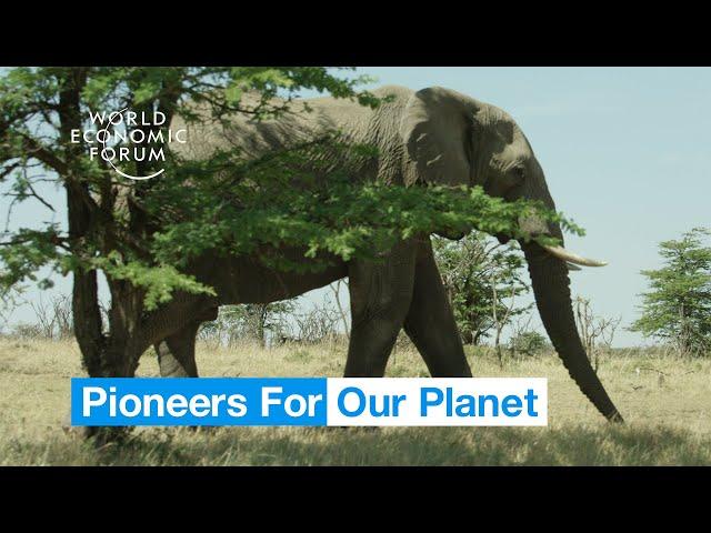 Saving Wildlife & Grasslands: East Africa's Maasai on nature preservation | Pioneers for Our Planet