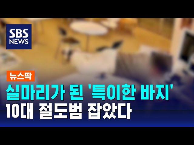 주황색 줄무니가 있었고…실마리가 된 '특이한 바지' / SBS / 뉴스딱