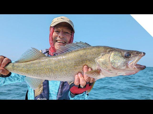 Catching a 10lb Walleye!