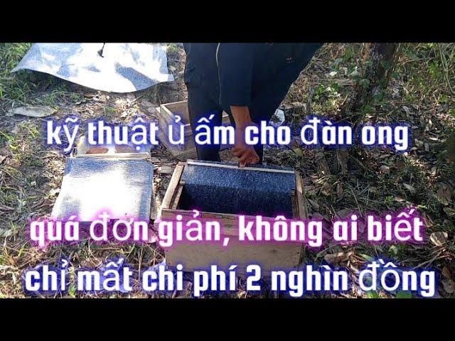 kỹ thuật ủ ấm cho đàn ong, vật liệu ủ ấm cho đàn ong quá đơn giản,  chỉ mất chi phí 2 nghìn đồng.