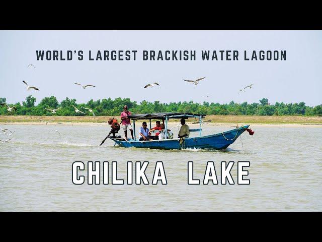 Rural Beauty of Chilika Lake Wildlife Sanctuary