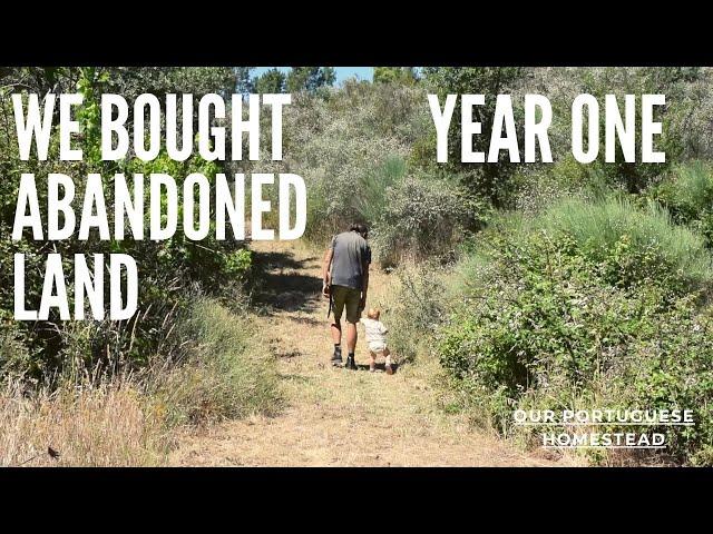 We bought abandoned land and this is what happened - Year One - Our Portuguese Homestead