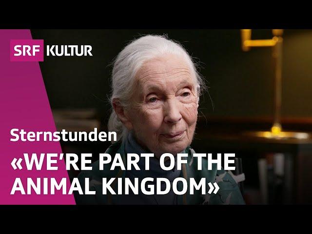 Jane Goodall, what makes us different from chimpanzees? | Sternstunde Philosophie | SRF Kultur