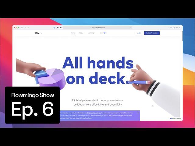 Black Friday Deals, Pitch.com Rebuild, and Some New Webflow Frameworks - Flowmingo Show Episode 6