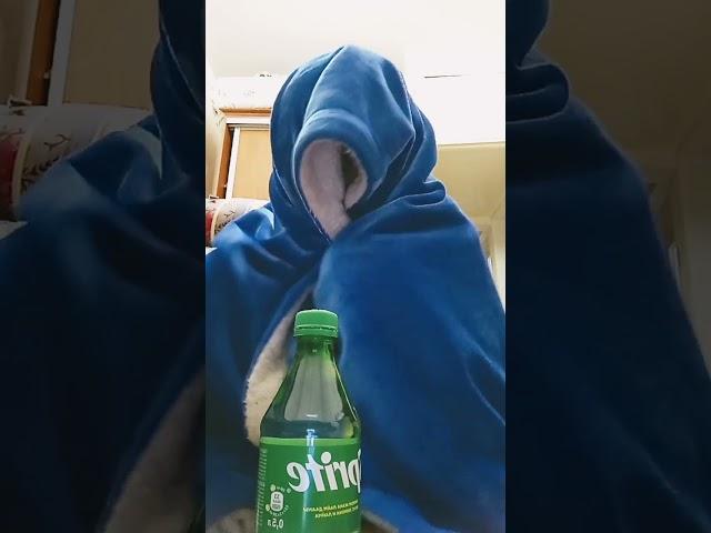 когда хочу пить
