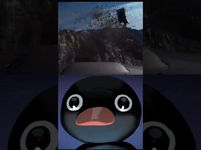 Noot NOOT #shorts #meme #pingu