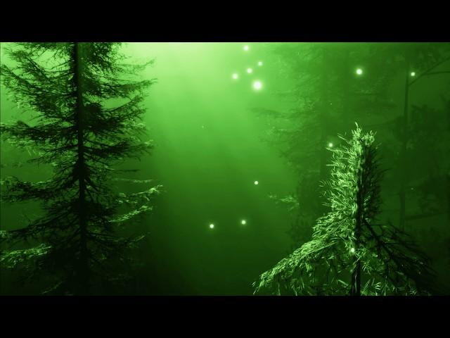 Enchanted Forest Music & Mystical Vocals  Ethereal Fantasy Music  528 hz  Path To The Elven Lands