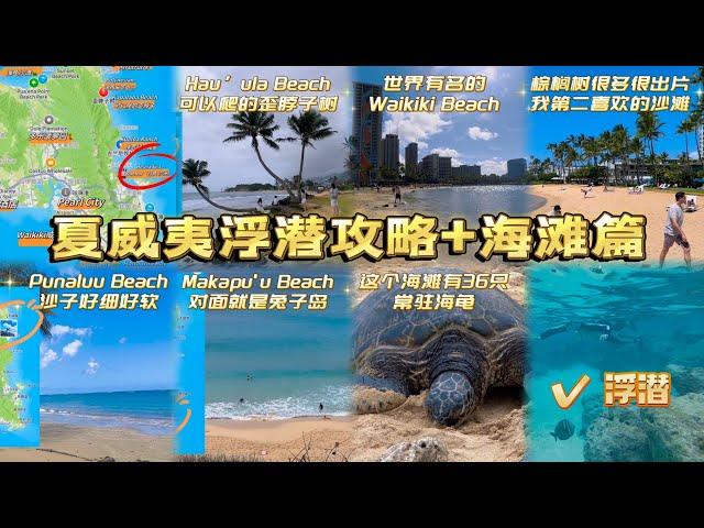 夏威夷浮潜攻略+恐龙湾抢票+sandbar省钱篇+海滩篇