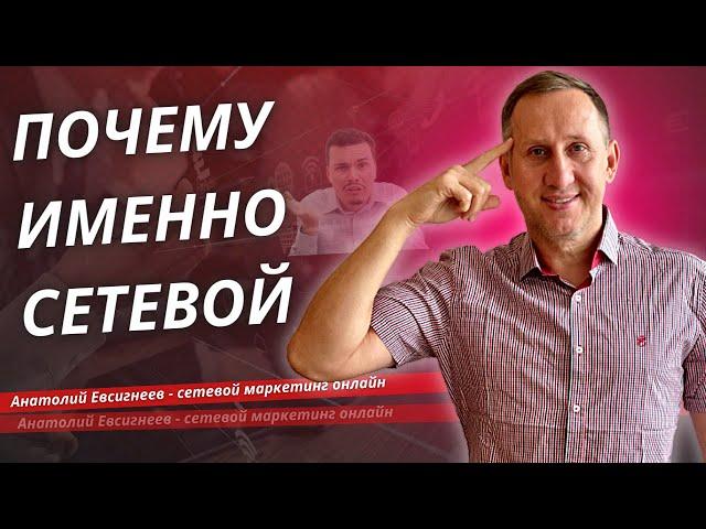 Почему Сетевой | Рассказывает Анатолий Евсигнеев