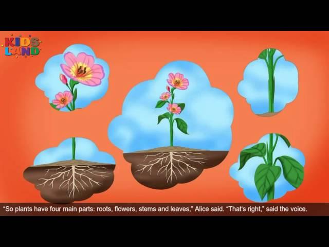 From Root to Flower - Children’s Bedtime Story