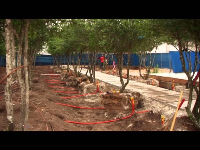 Landscape at the Renzo Piano Pavilion HD