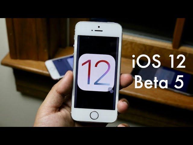 iOS 12 BETA 5 On iPHONE 5S! (Review)