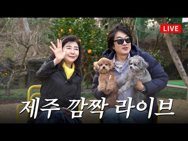 [깜짝LIVE] 여에스더&홍혜걸🩵