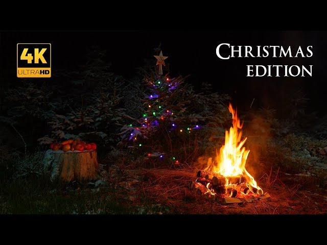 Christmas Campfire in a Snowy Forest  Real Glowing Tree ️ 4K