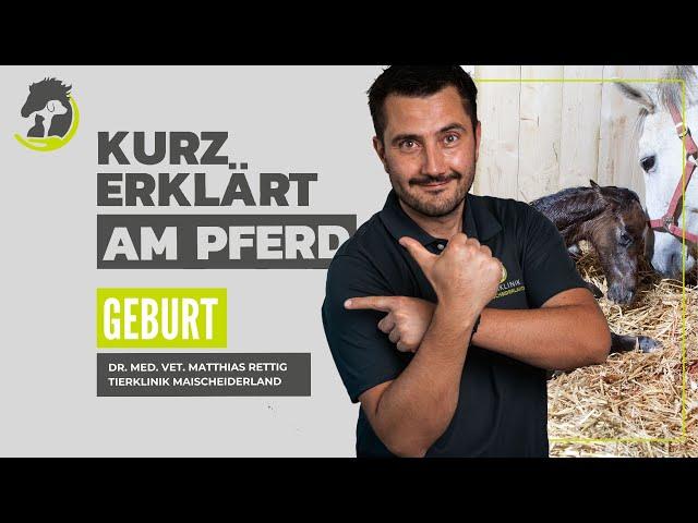 DIE GEBURT - erste Kennzeichen, Maßnahmen und Komplikationen. Kurz erklärt am Pferd.