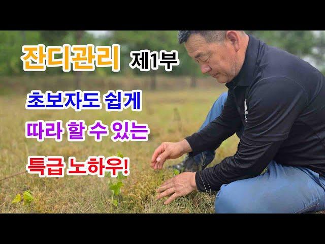 초보도 전문가처럼! 우리 집 잔디 관리 마스터하기 제1부 예초하는 시기와 방법 #귀농귀촌 #귀농 #귀촌생활 #귀촌 #조경과구들장 #전원주택 #노하우