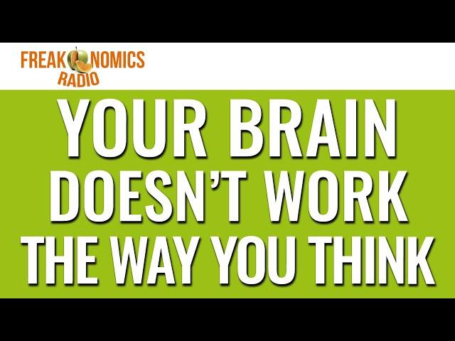 Your Brain Doesn’t Work the Way You Think | Freakonomics Radio