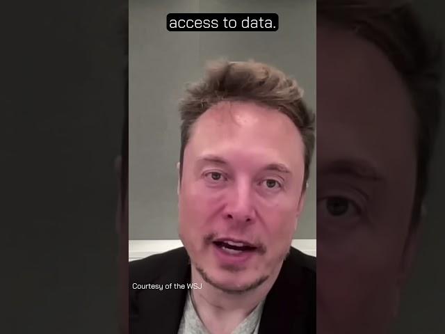 Elon Musk on the MASSIVE AI Startup Problem