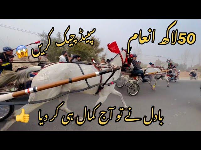 Badil vs Darkan horse race |Apna tanga Racer ||All Pakistan tanga racer ￼