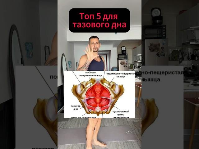Топ 5 для тазового дна!#тазовоедно #тренировкадома #фитнесдома #худеемвместе #таз #спина