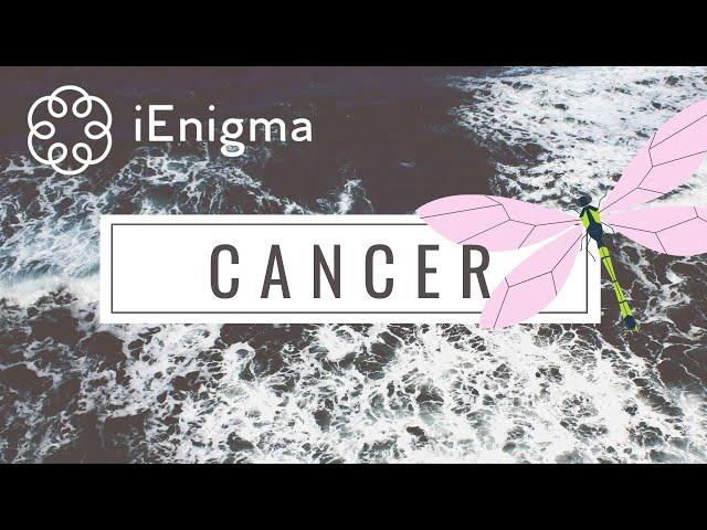 CANCER MONEY MAKING YOU RICHHOT & SUCCESSFUL THEIR RICH & CARING NATURE IS YOUR LUCKY CHARM️