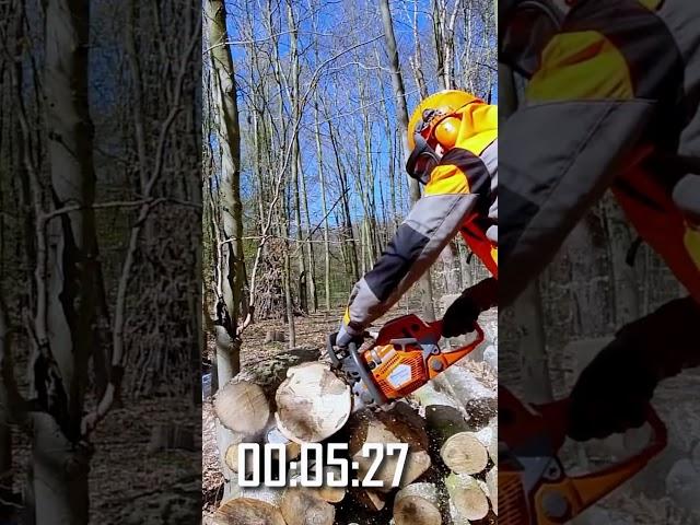 MS 261 vs. 550 MK2 | STIHL vs. Husqvarna #stihl #kettensäge #motorsäge #husqvarna