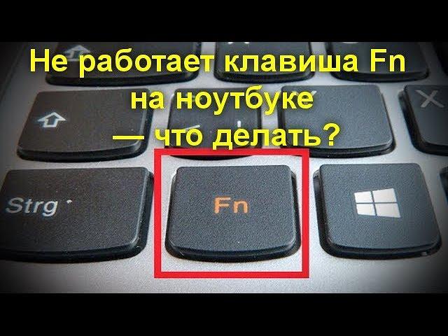 Не работает клавиша Fn на ноутбуке — что делать?