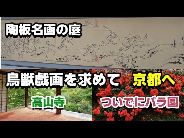 【京都　高山寺】鳥獣戯画を求めて　京都　陶板名画の庭　世界遺産　高山寺　ついでに京都府立植物園