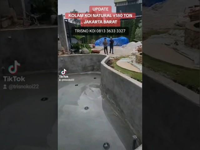 UPDATE PEKERJAAN KOLAM KOI NATURAL ±180 TON | JAKARTA BARAT