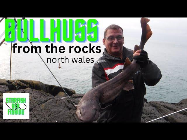 Bull Huss and Conger fishing in North Wales.