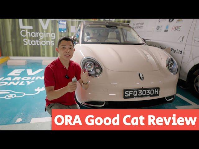 ORA Good Cat Review!